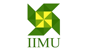 IIMU